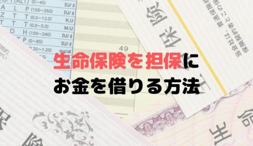 生命保険でお金を借りる契約者貸付制度って？審査なしってホント？